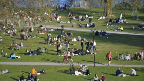 President Trump: Sweden is paying heavily for its decision not to lockdown