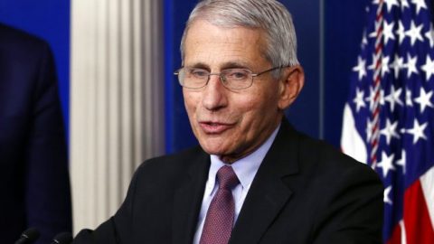 Dr. Fauci set to speak in front of the Senate