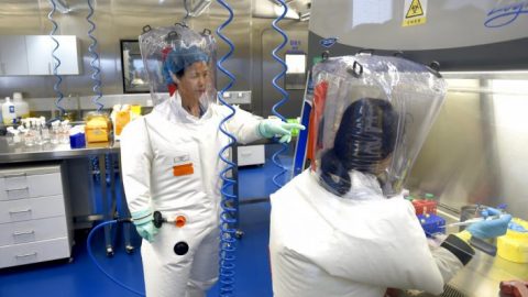 Australian researcher says COVID-19 could be man-made