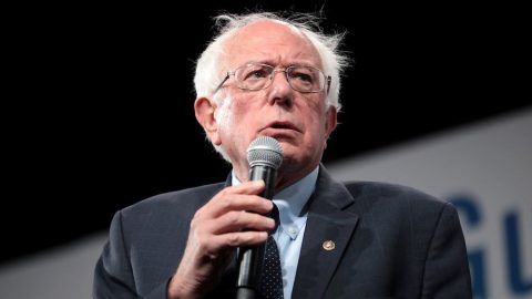 Michael Tracey On The Bernie Sanders Campaign And His Impact On The Future Of The Left