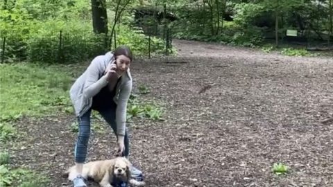 Christian Cooper Says He Is ‘Uncomfortable’ With Harsh Backlash Against Central Park Dog Walker