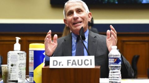 Dr. Fauci: No officials have been told to slow down COVID-19 testing