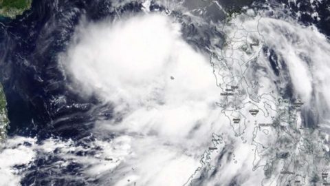 Typhoon Nuri makes landfall in China