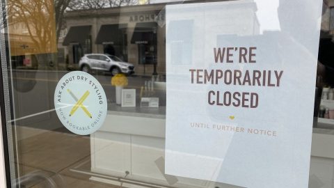 In The Fall, Democrats Will Lock Down America Again