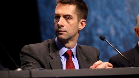 Tom Cotton Introduces Legislation To Ban Federal Funding Of Schools Teaching Fake History