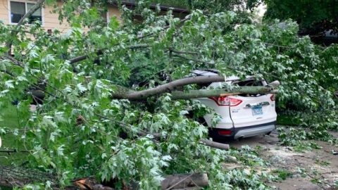1 dead, 2 injured following dual Minn. tornadoes