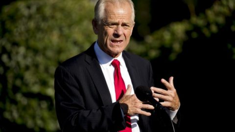 Navarro speaks out on COVID-19 vaccine development efforts