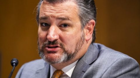 Senate Judiciary Committee to investigate Antifa